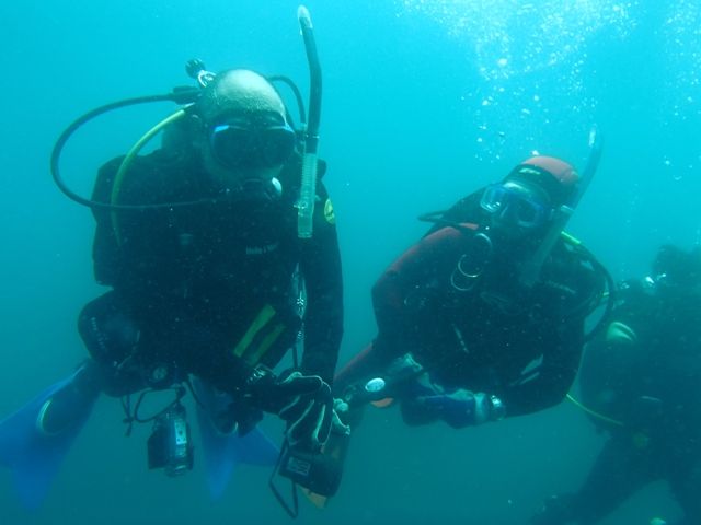 ������ (41)