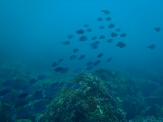 �������ӡ��� (7)