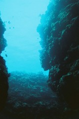 ����ʿ�ϩ�����ä������ˡ���