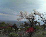 ŷ���ϱ��������ȤϹ⤤����