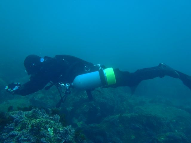 �������ӡ���