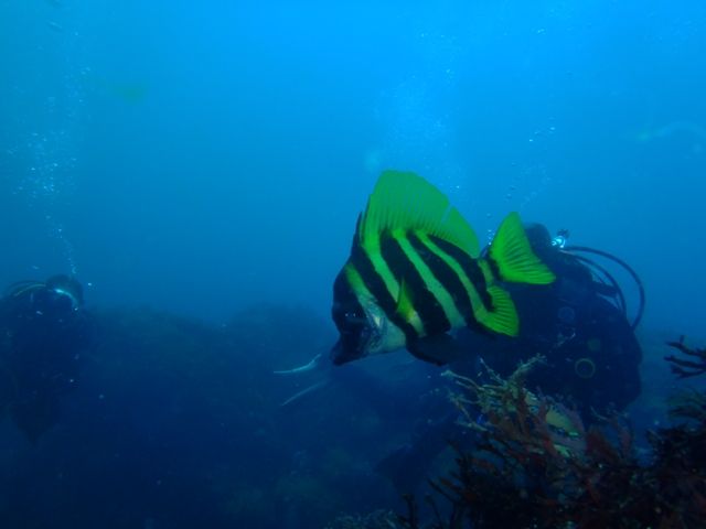 P5040590