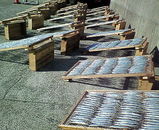 �Ҥ�Τ��Ƥޤ�