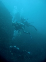 �ޤ�ǻ�̮�Τ褦���Ϸ���