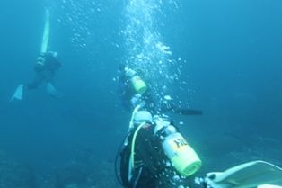 ����ˢ��������