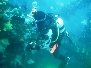 �����륢�󥳥��������