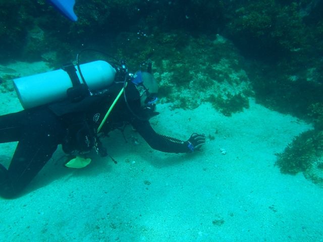 初島 (35)