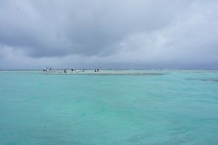 DSC03762