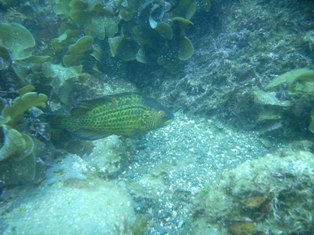 ���ϥ����٥麧����