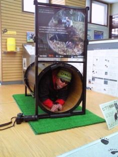 �ҥ��ޡ�����