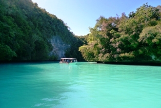 �ߥ륭��������