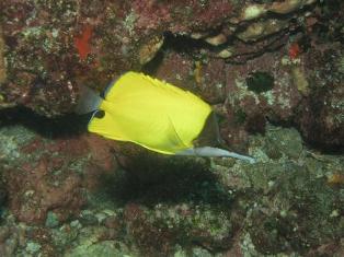 �ե���å�����