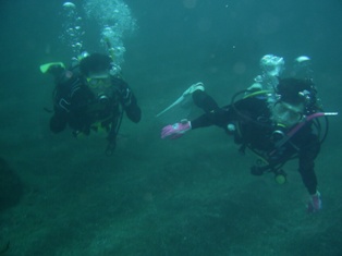 ���椬���쥤����