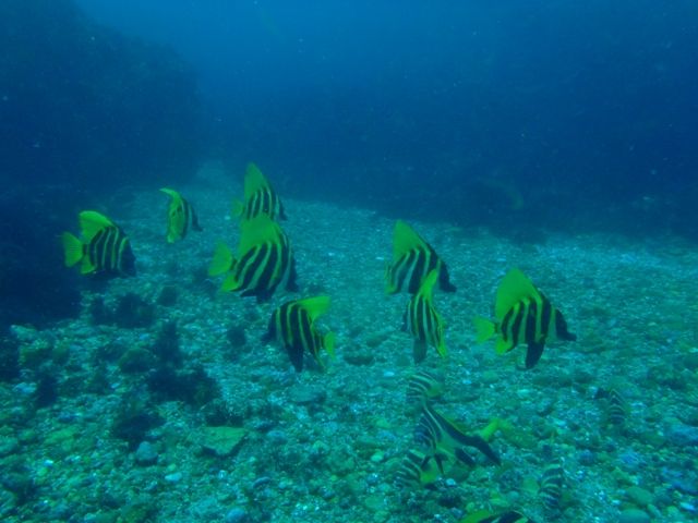 P5040610