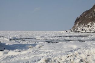 �������ɤ�ɹ�Ǥ�