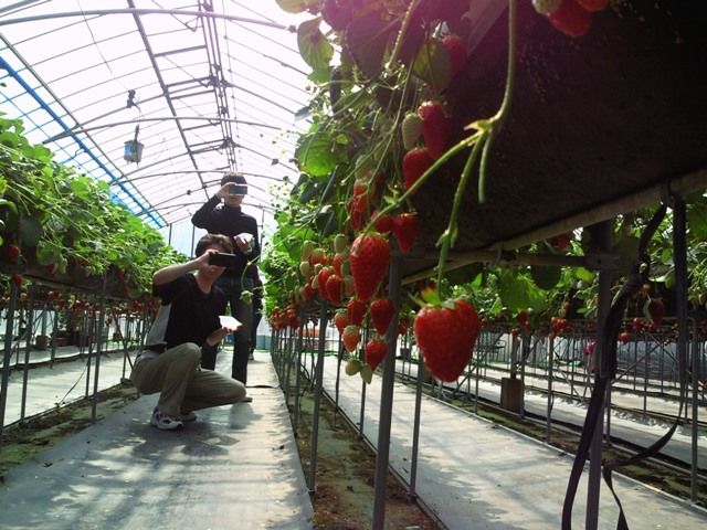 �餤����������