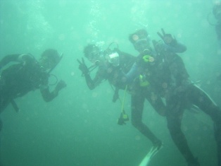 �ߤ�ʤǡ���