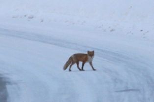 �������ĥ��ܺ���