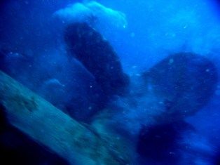 ������塼����