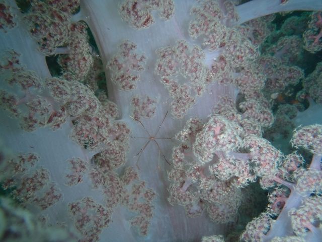 �������������� (3)