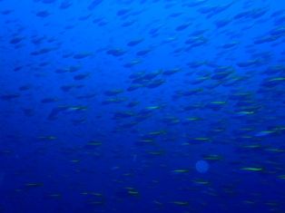 �����ٷ���