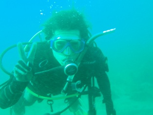 ��¼����