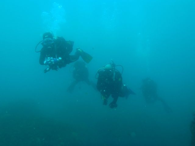 ������ (4)