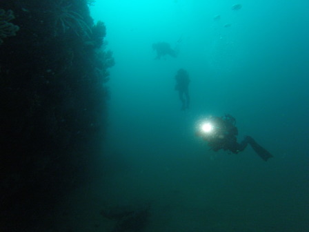 GOPR8124_1569146392938_high