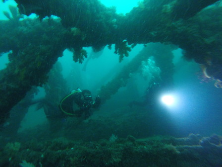 GOPR7887_1561263256558_high