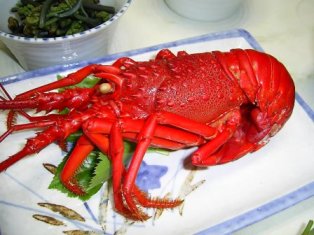 �������Ӥޤ뤴�ȡ�