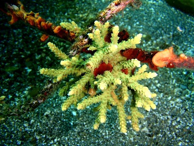 ����ʤȤ����ǻ���