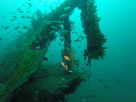 GOPR7774_1561189717265_high