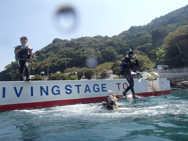 ���󥸥祤����������FUN (2)