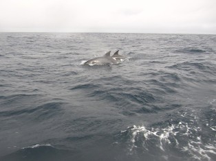 ���륫����