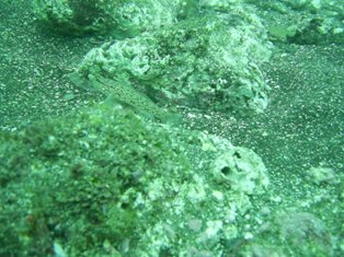 �ϥ�����������