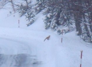 �������ĥ��ܺ���