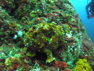 �ɤ��ˤ��뤫�狼�롩