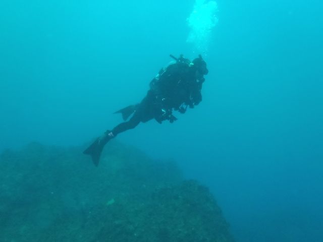 ���Ҹ��ɥ�ե� (7)