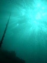 �ޤ��ޤ����ä�������(^O^)��(^O^)��