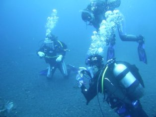 �֥롼������������