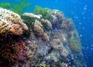 ����������㥯����