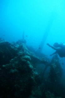 �إ��åȥ�å�