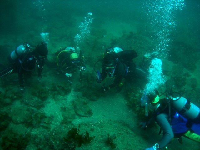 �ӡ�����ե�å��� (2)