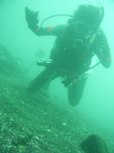 �ϥʥ��ʥ����з���