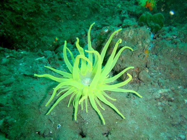 ����������㥯