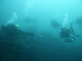 �ǥ����ץ�����