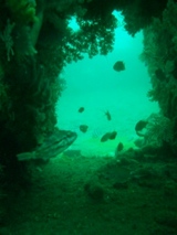 ��θ������ˡ�������