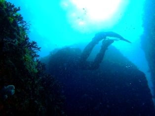 �Ϸ��ݥ���ȣ�