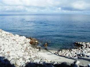 8df52e4e556697b7451d8a565c6754a4