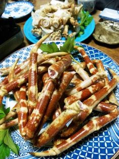 タカアシガニ♪